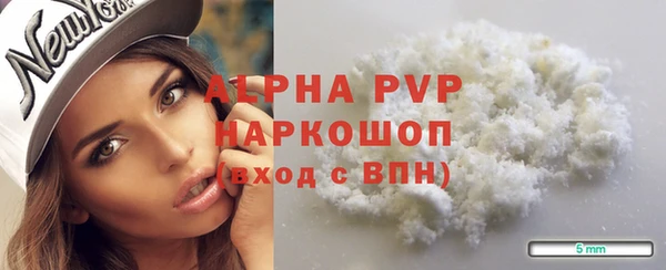 молекула духа Богородицк