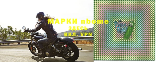 молекула духа Богородицк