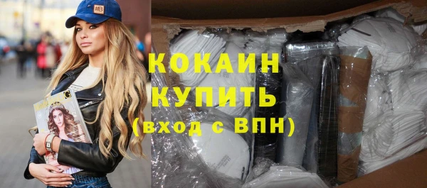 молекула духа Богородицк