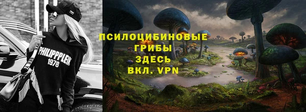 винт Аркадак