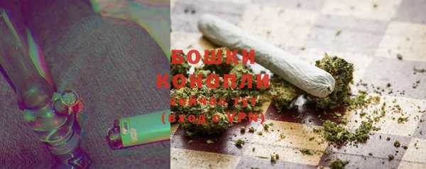 тгк Богданович