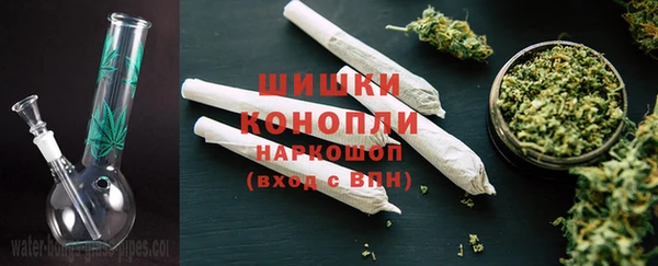 молекула духа Богородицк