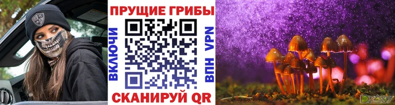 Псилоцибиновые грибы GOLDEN TEACHER  наркота  Верхняя Салда 